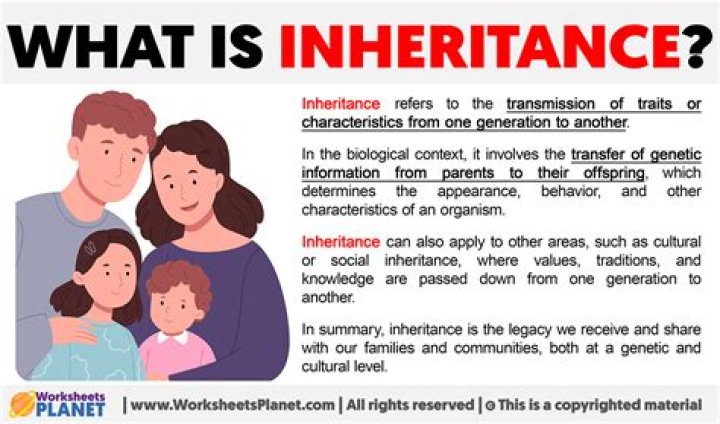 A Journey Of Inheritance, Investments, And Philanthropy