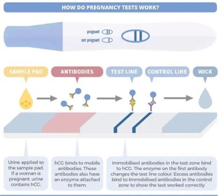 Convenience Stores And Pregnancy Tests