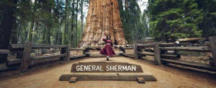 Unlocking The Sherman Mystery: Unveiling Hidden Truths