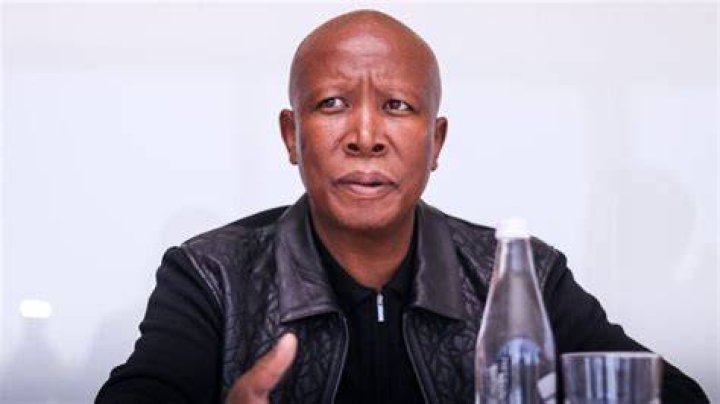 Unveiling Julius Malema's Net Worth: A Journey Of Revelations