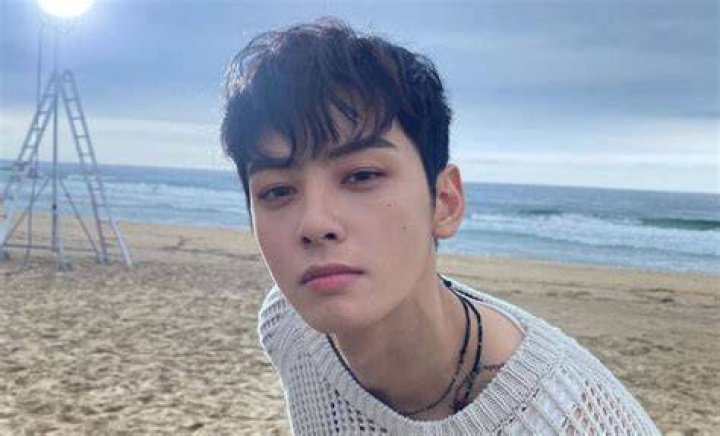 Unveiling The Height Of Cha Eun Woo: Discoveries And Insights