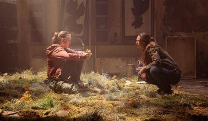 Unveiling The Secrets Of Anna Torv's Enduring Relationships